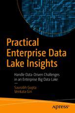 Practical Enterprise Data Lake Insights