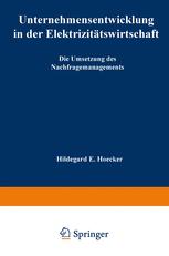 Unternehmensentwicklung in der Elektrizitätswirtschaft
